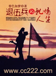退伍兵的孪情人生