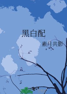 黑摆裴